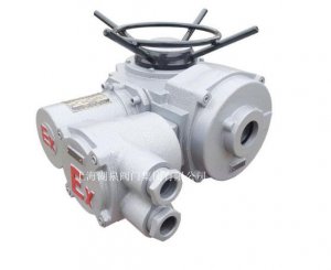 物聯(lián)網(wǎng)ZB90-24(380)推力型閥門電動(dòng)裝置
